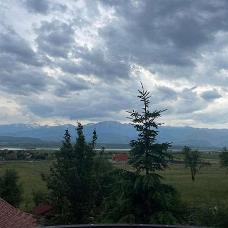 Pensiunea Iza Bradu  Dış mekan fotoğraf