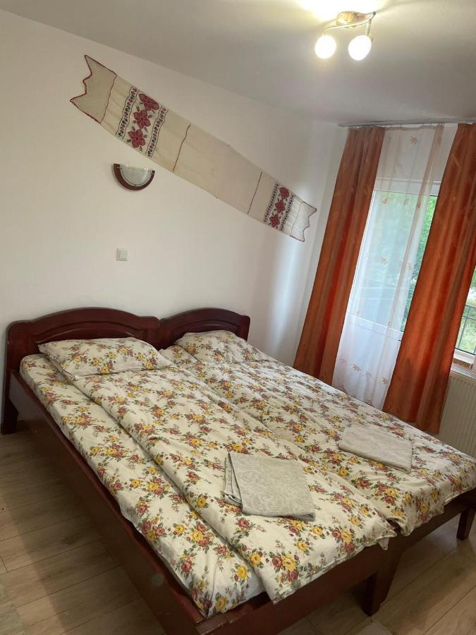 Pensiunea Iza Bradu  Dış mekan fotoğraf