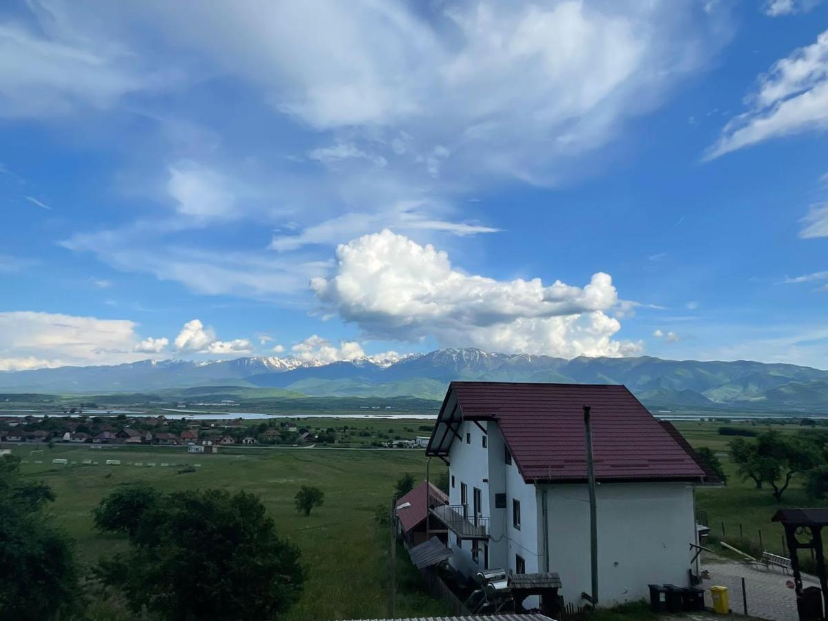 Pensiunea Iza Bradu  Dış mekan fotoğraf