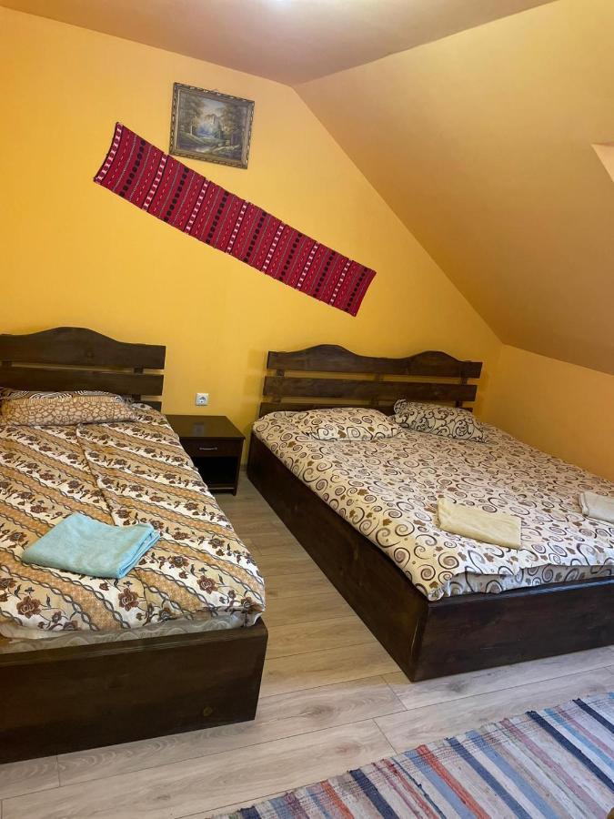 Pensiunea Iza Bradu  Dış mekan fotoğraf